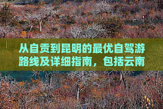 从自贡到昆明的更优自驾游路线及详细指南，包括云南特色景点与高速行驶距离