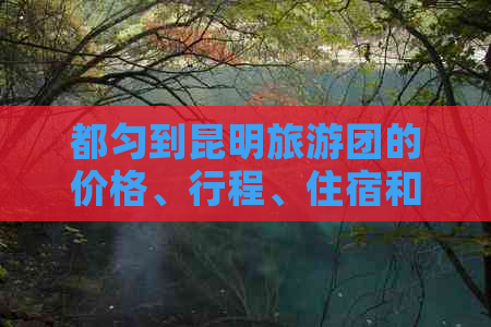 都匀到昆明旅游团的价格、行程、住宿和景点推荐，为您的旅行提供全面信息