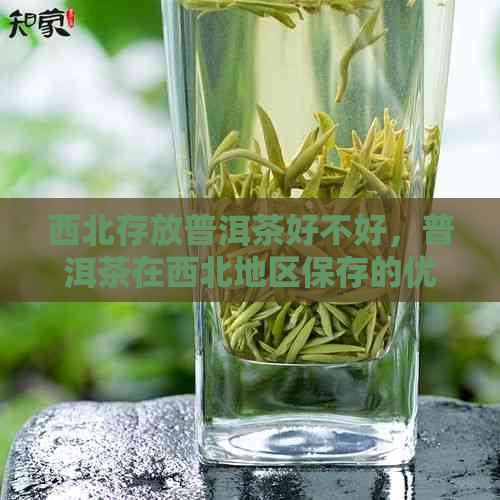 西北存放普洱茶好不好，普洱茶在西北地区保存的优缺点探讨