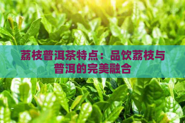 荔枝普洱茶特点：品饮荔枝与普洱的完美融合