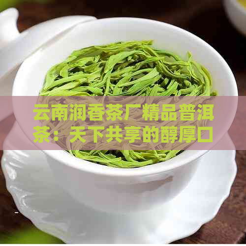 云南润香茶厂精品普洱茶：天下共享的醇厚口感