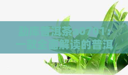 勐库普洱茶a0701：一款全面解读的普洱茶品种及其特点