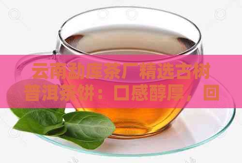 云南勐库茶厂精选古树普洱茶饼：口感醇厚，回味悠长，双江特色佳品