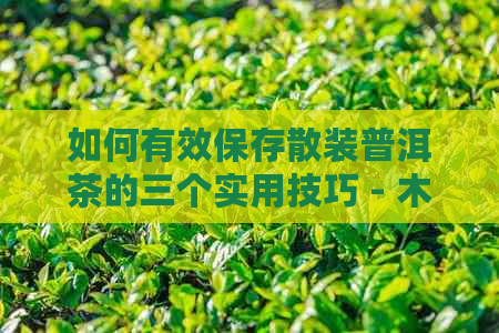 如何有效保存散装普洱茶的三个实用技巧 - 木盒存放教程