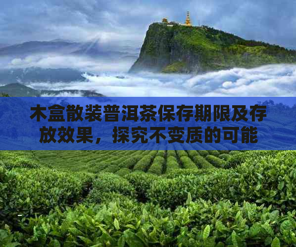 木盒散装普洱茶保存期限及存放效果，探究不变质的可能