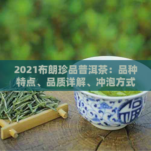 2021布朗珍品普洱茶：品种特点、品质详解、冲泡方式与收藏价值全方位解析