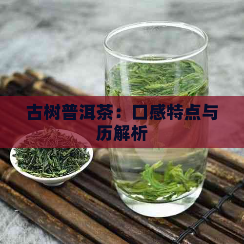 古树普洱茶：口感特点与历解析