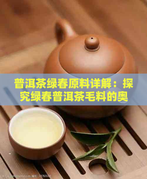 普洱茶绿春原料详解：探究绿春普洱茶毛料的奥秘