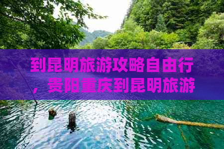 到昆明旅游攻略自由行，贵阳重庆到昆明旅游攻略费用及一日     程详解