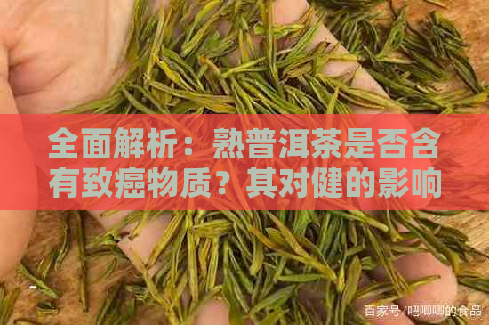 全面解析：熟普洱茶是否含有致癌物质？其对健的影响如何？