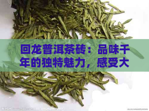 回龙普洱茶砖：品味千年的独特魅力，感受大自然的恩赐