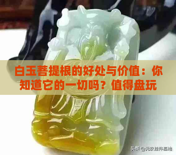 白玉菩提根的好处与价值：你知道它的一切吗？值得盘玩吗？