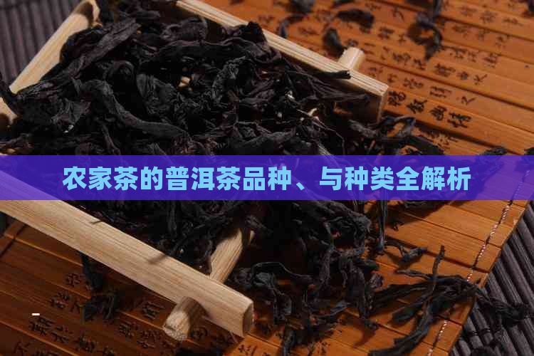 农家茶的普洱茶品种、与种类全解析