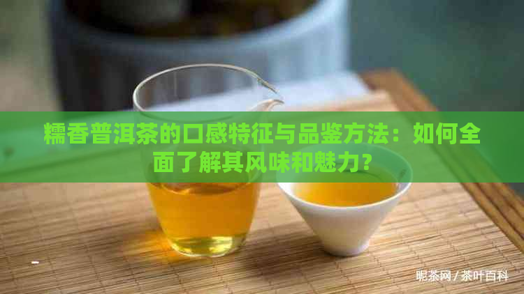 糯香普洱茶的口感特征与品鉴方法：如何全面了解其风味和魅力？