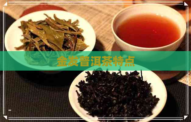 金发普洱茶特点