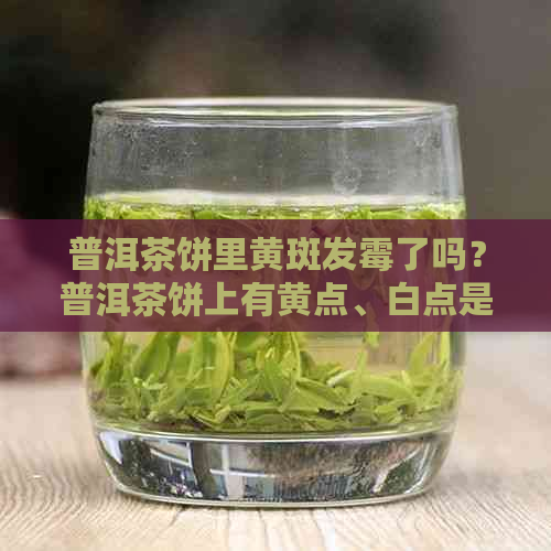 普洱茶饼里黄斑发霉了吗？普洱茶饼上有黄点、白点是什么情况？