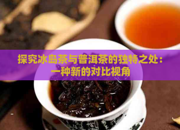 探究冰岛茶与普洱茶的独特之处：一种新的对比视角