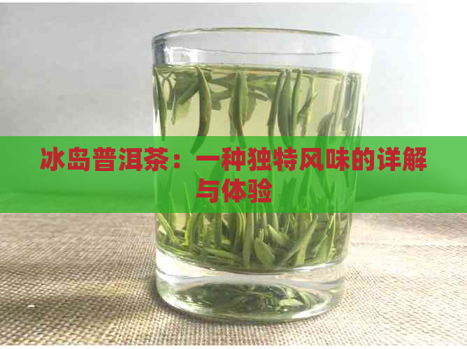 冰岛普洱茶：一种独特风味的详解与体验