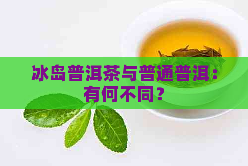 冰岛普洱茶与普通普洱：有何不同？