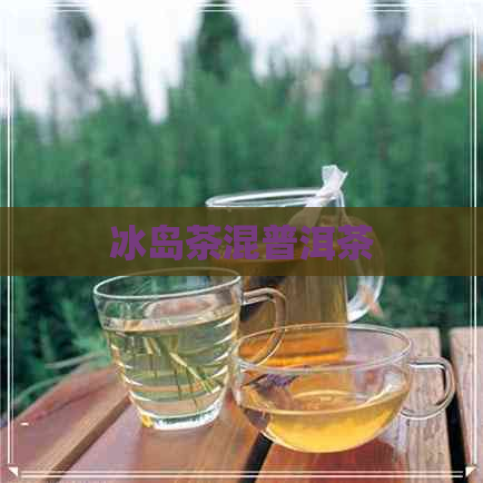 冰岛茶混普洱茶