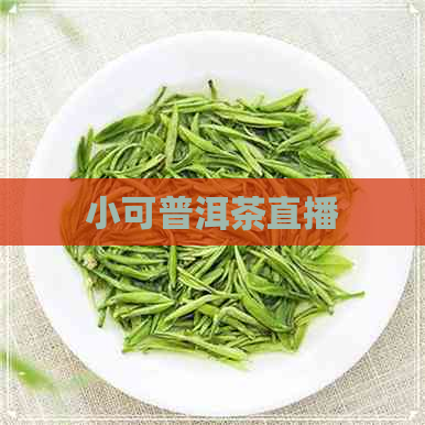 小可普洱茶直播