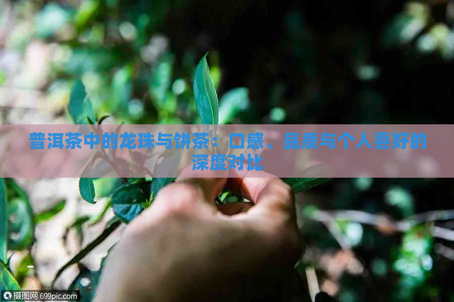 普洱茶中的龙珠与饼茶：口感、品质与个人喜好的深度对比