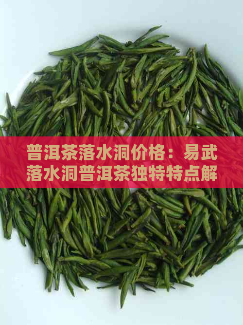 普洱茶落水洞价格：易武落水洞普洱茶独特特点解析