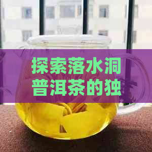 探索落水洞普洱茶的独特口感与特点