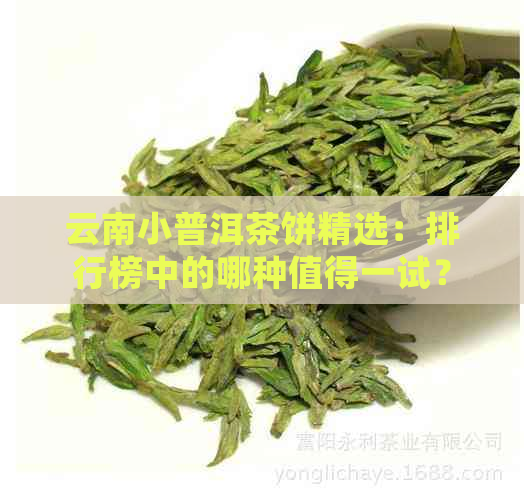 云南小普洱茶饼精选：排行榜中的哪种值得一试？