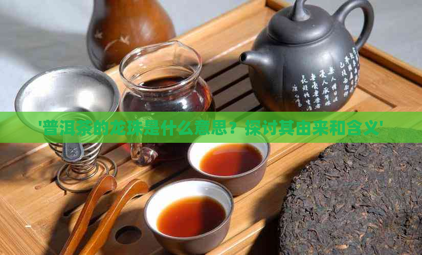 '普洱茶的龙珠是什么意思？探讨其由来和含义'