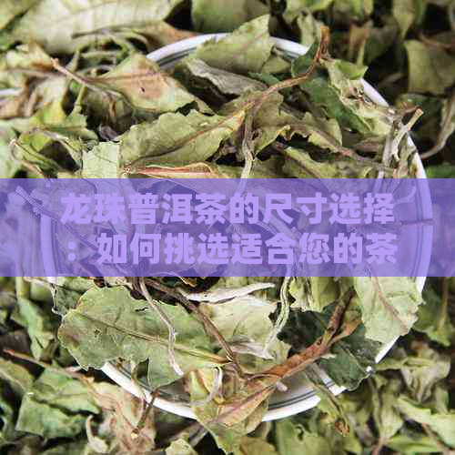 龙珠普洱茶的尺寸选择：如何挑选适合您的茶叶？