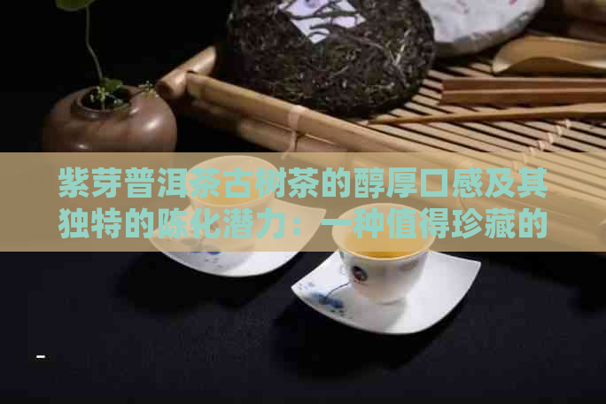 紫芽普洱茶古树茶的醇厚口感及其独特的陈化潜力：一种值得珍藏的茶叶品种