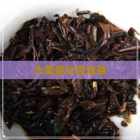 大美茶叶普洱茶