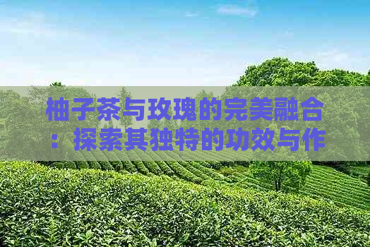 柚子茶与玫瑰的完美融合：探索其独特的功效与作用