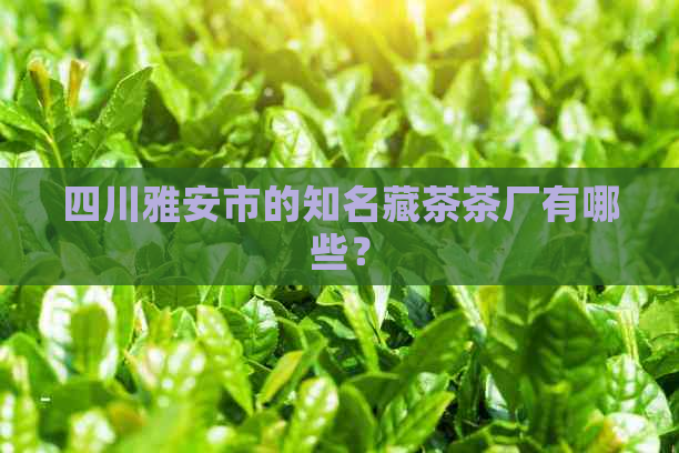 四川雅安市的知名藏茶茶厂有哪些？