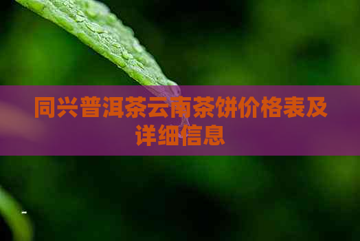 同兴普洱茶云南茶饼价格表及详细信息