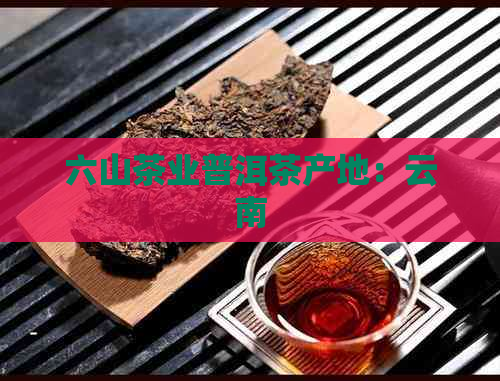 六山茶业普洱茶产地：云南