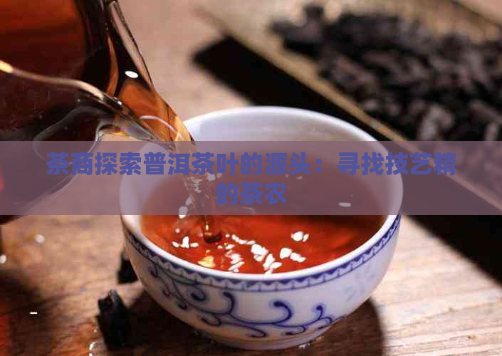 茶商探索普洱茶叶的源头：寻找技艺精的茶农