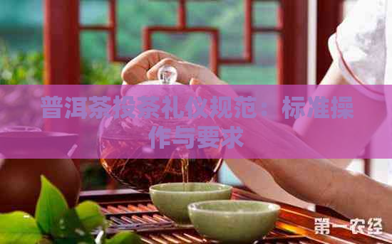 普洱茶投茶礼仪规范：标准操作与要求