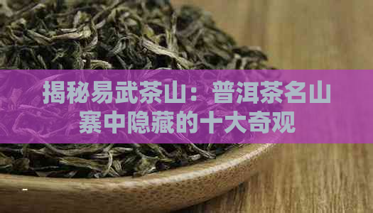 揭秘易武茶山：普洱茶名山寨中隐藏的十大奇观