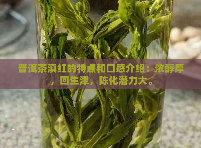 普洱茶滇红的特点和口感介绍：浓醇厚，回生津，陈化潜力大。