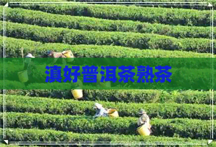 滇好普洱茶熟茶