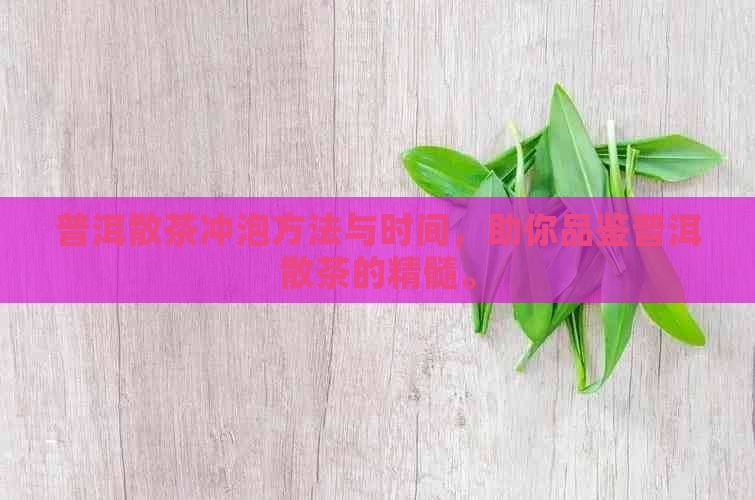 普洱散茶冲泡方法与时间，助你品鉴普洱散茶的精髓。