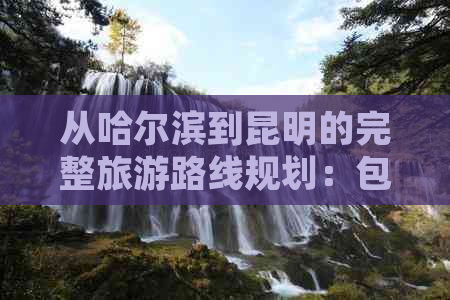 从哈尔滨到昆明的完整旅游路线规划：包含交通、住宿、景点推荐及行程安排