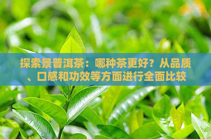 探索景普洱茶：哪种茶更好？从品质、口感和功效等方面进行全面比较