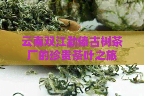 云南双江勐傣古树茶厂的珍贵茶叶之旅