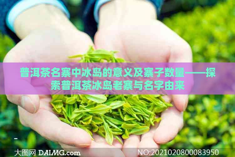 普洱茶名寨中冰岛的意义及寨子数量——探索普洱茶冰岛老寨与名字由来