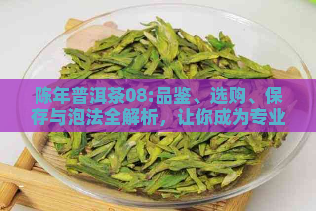 陈年普洱茶08:品鉴、选购、保存与泡法全解析，让你成为专业茶叶爱好者