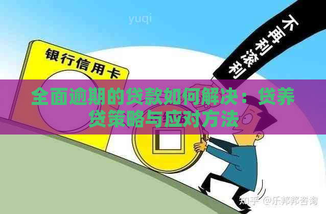 全面逾期的贷款如何解决：贷养贷策略与应对方法