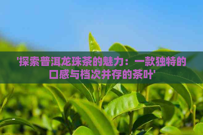 '探索普洱龙珠茶的魅力：一款独特的口感与档次并存的茶叶'